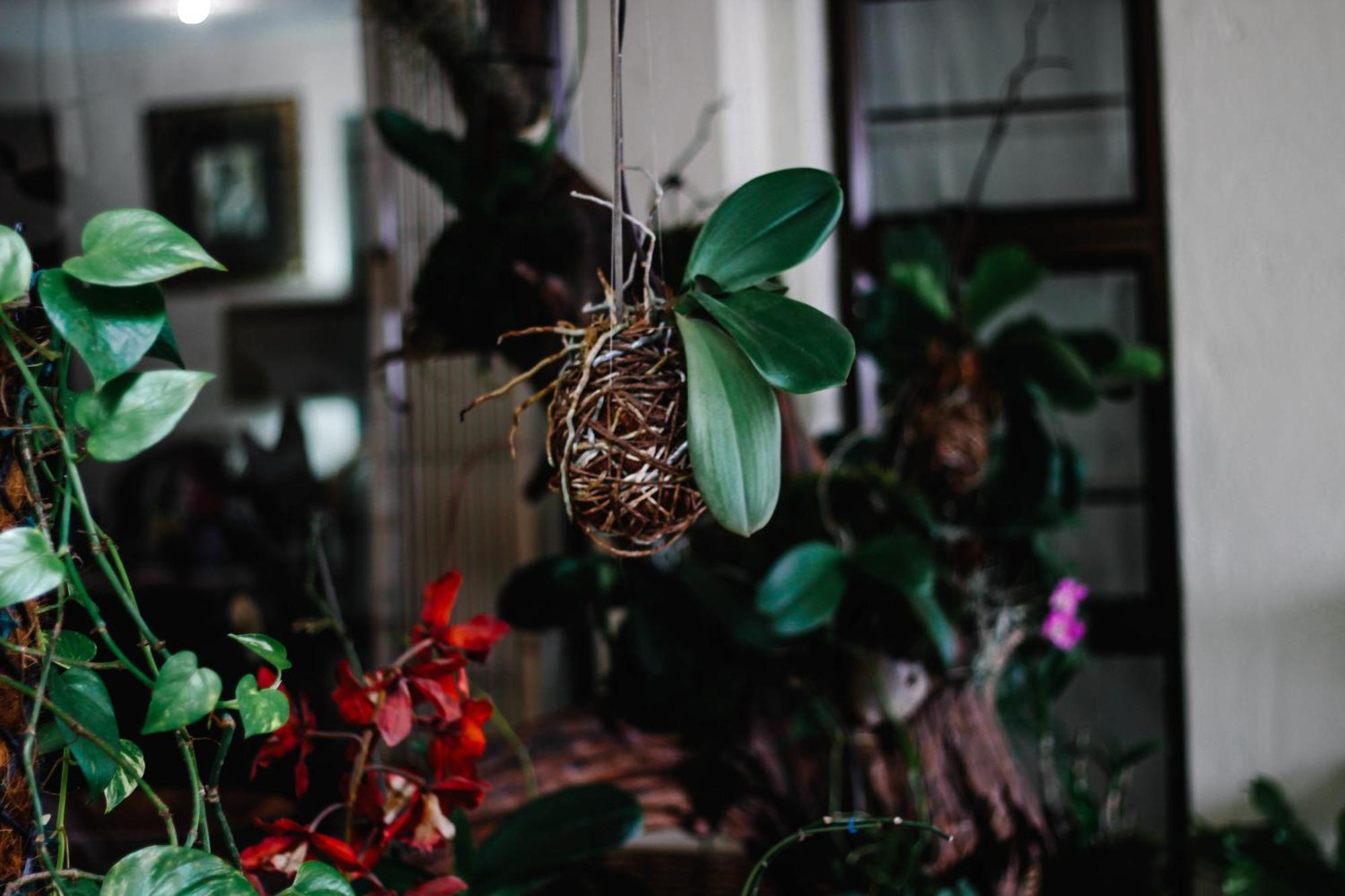 La Dolce Vita Umhlanga Guesthouse ダーバン エクステリア 写真