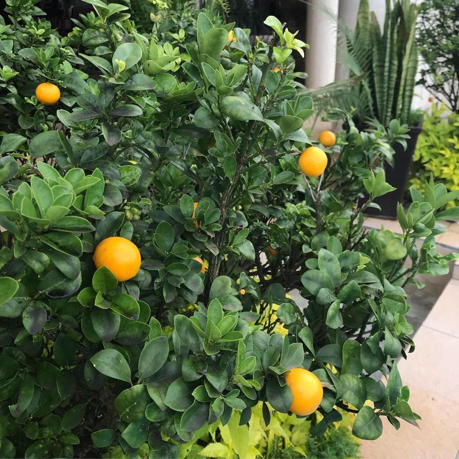 La Dolce Vita Umhlanga Guesthouse ダーバン エクステリア 写真